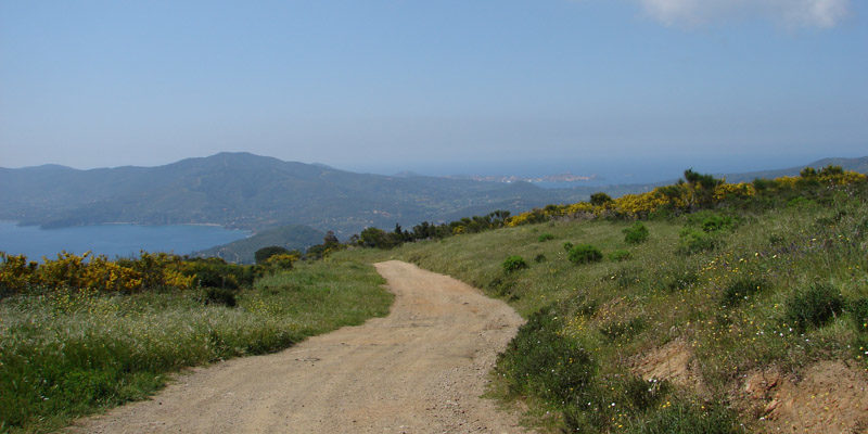 angelo_zisa_isola_di_elba_toscana_mare_strada