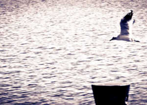 Angelo_Zisa_lago_ferrara_volo