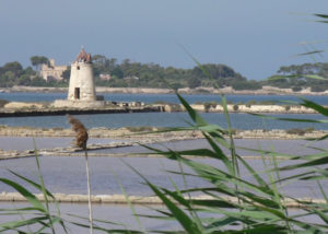 Angelo_Zisa_marsala_saline_mare