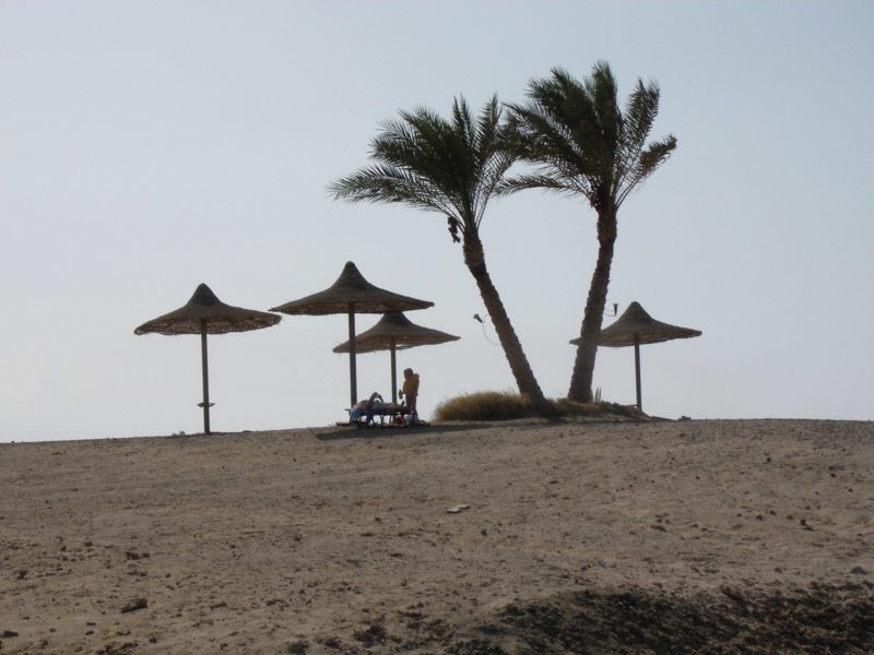 Angelo_Zisa_palma_mare_spiaggia_egitto_marsa_al_lam