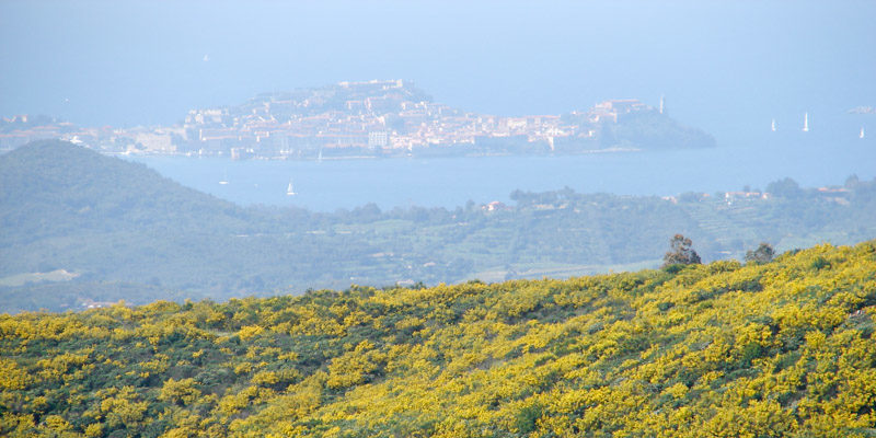 angelo_zisa_toscana_isola-di-elba