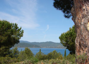 angelo_zisa_toscana_mare_isola-di-elba