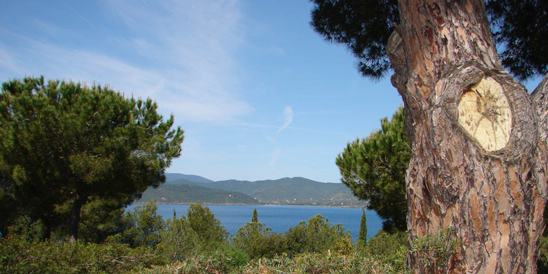 angelo_zisa_toscana_mare_isola-di-elba