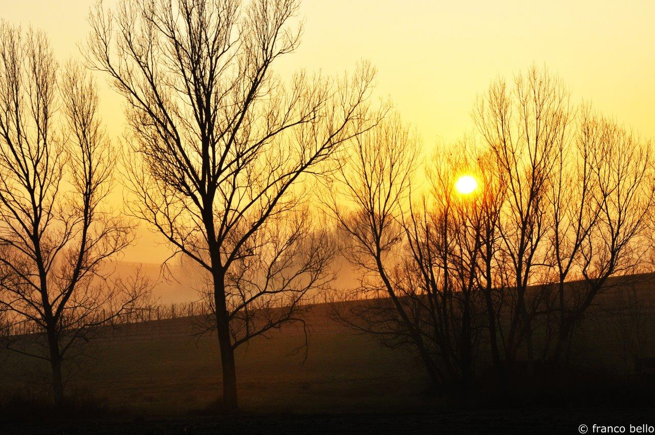 bello_franco_alberi_tramonto
