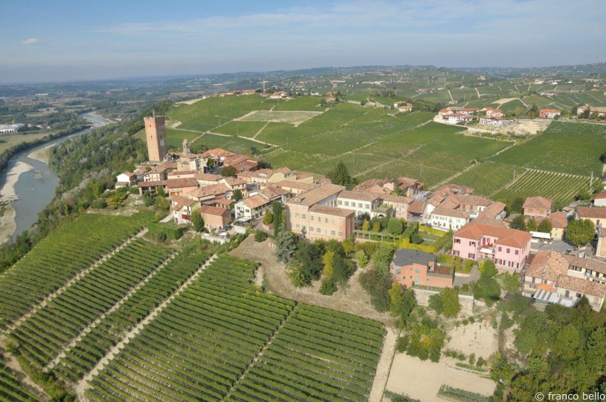 bello_franco_barbaresco_vigne