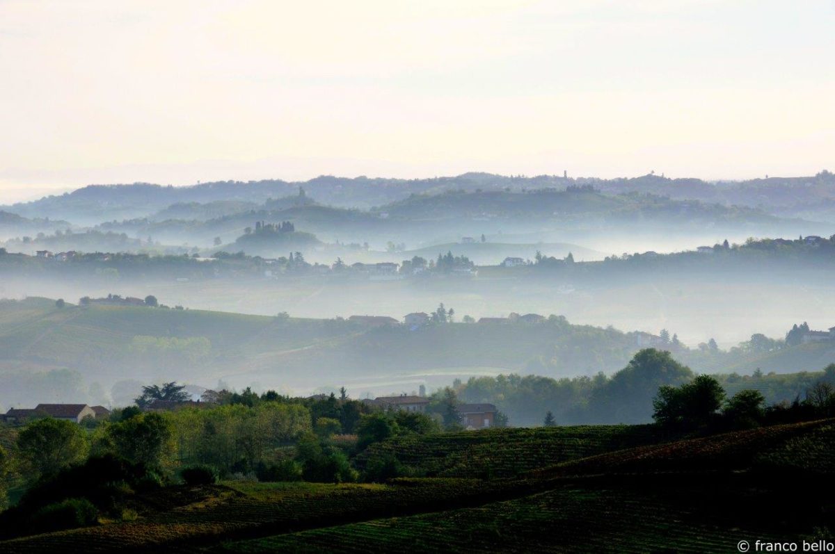 bello_franco_colline_nebbia_1