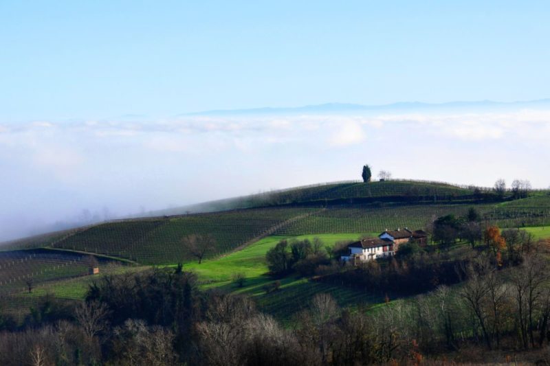 bello_franco_colline_nebbia_2