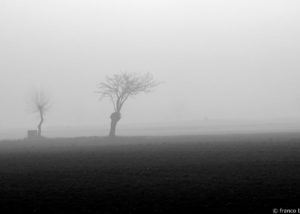 bello_franco_nebbia