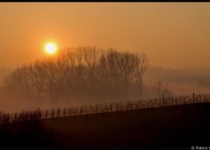 bello_franco_nebbia_tramonto