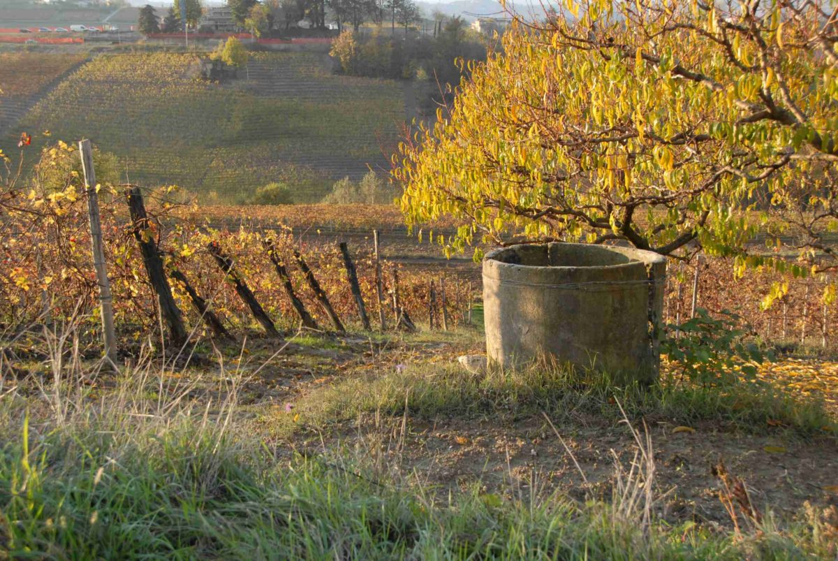 bello_franco_vigna_pozzo