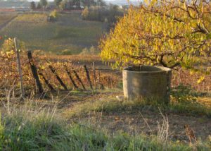 bello_franco_vigna_pozzo