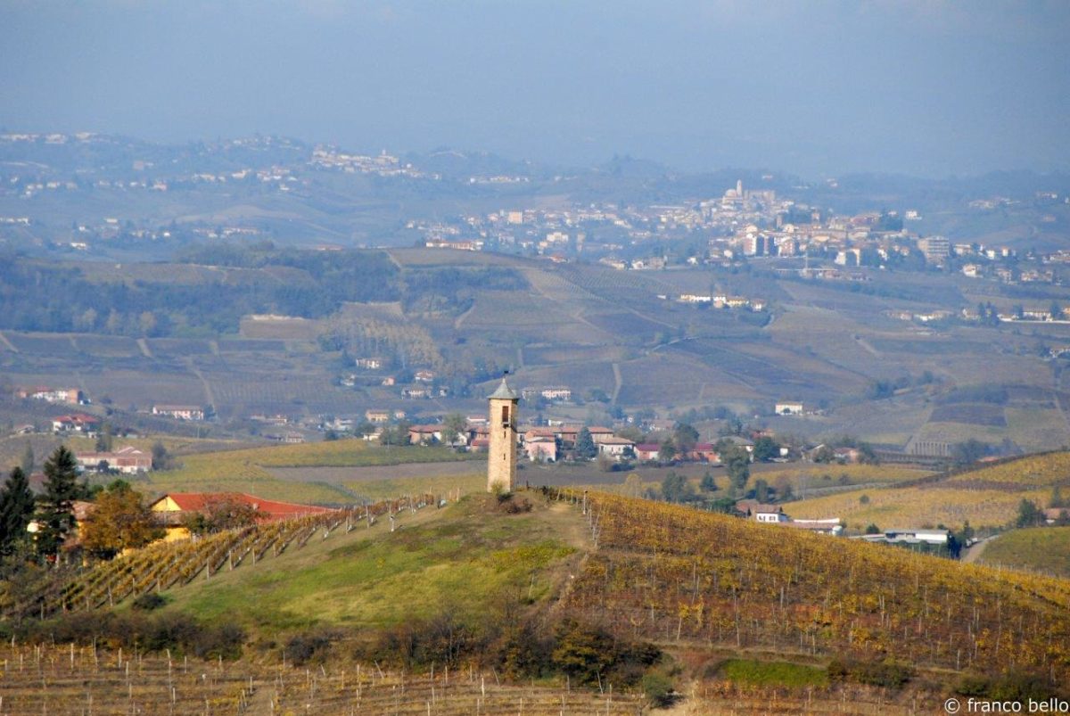 bello_franco_vigne_colline_torre_1