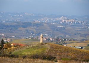 bello_franco_vigne_colline_torre_1