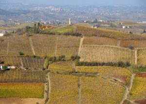 bello_franco_vigne_colline_torre_2