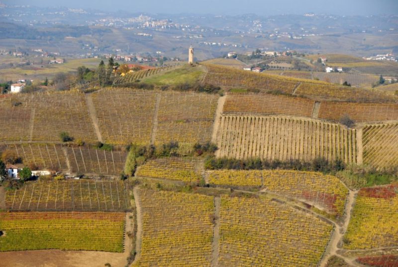 bello_franco_vigne_colline_torre_2