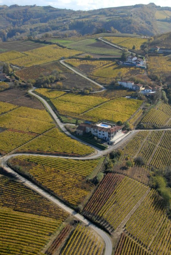 bello_franco_vigne_vista_dall_alto_11