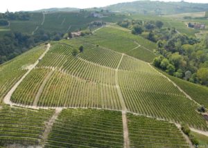 bello_franco_vigne_vista_dall_alto_15