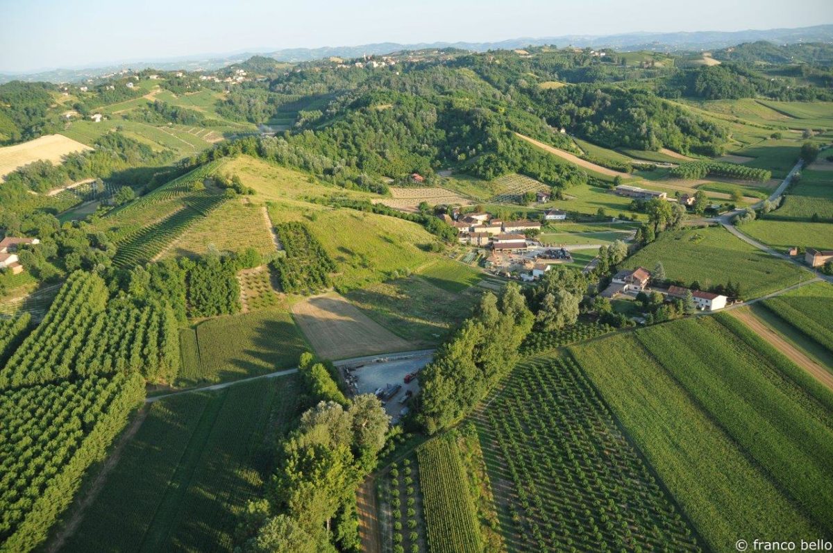 bello_franco_vigne_vista_dall_alto_2