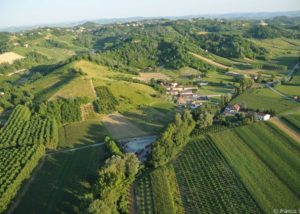 bello_franco_vigne_vista_dall_alto_2