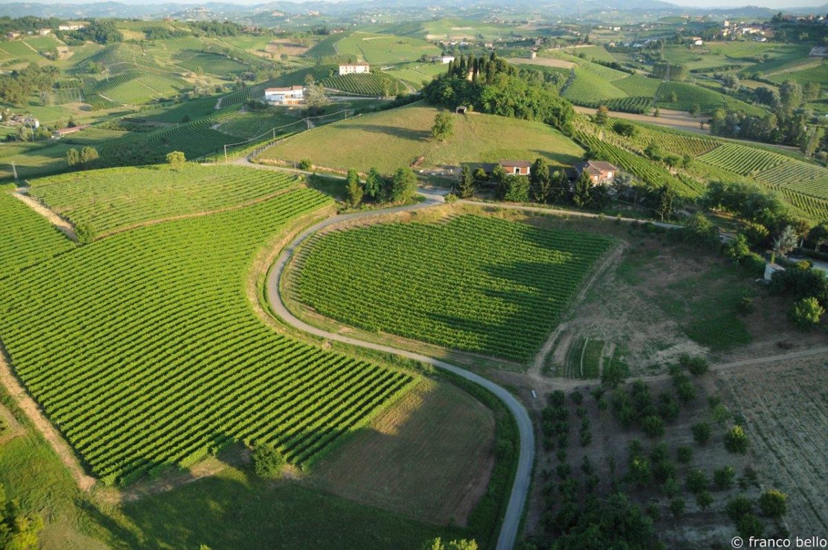 bello_franco_vigne_vista_dall_alto_3