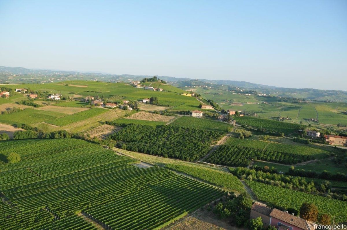 bello_franco_vigne_vista_dall_alto_4