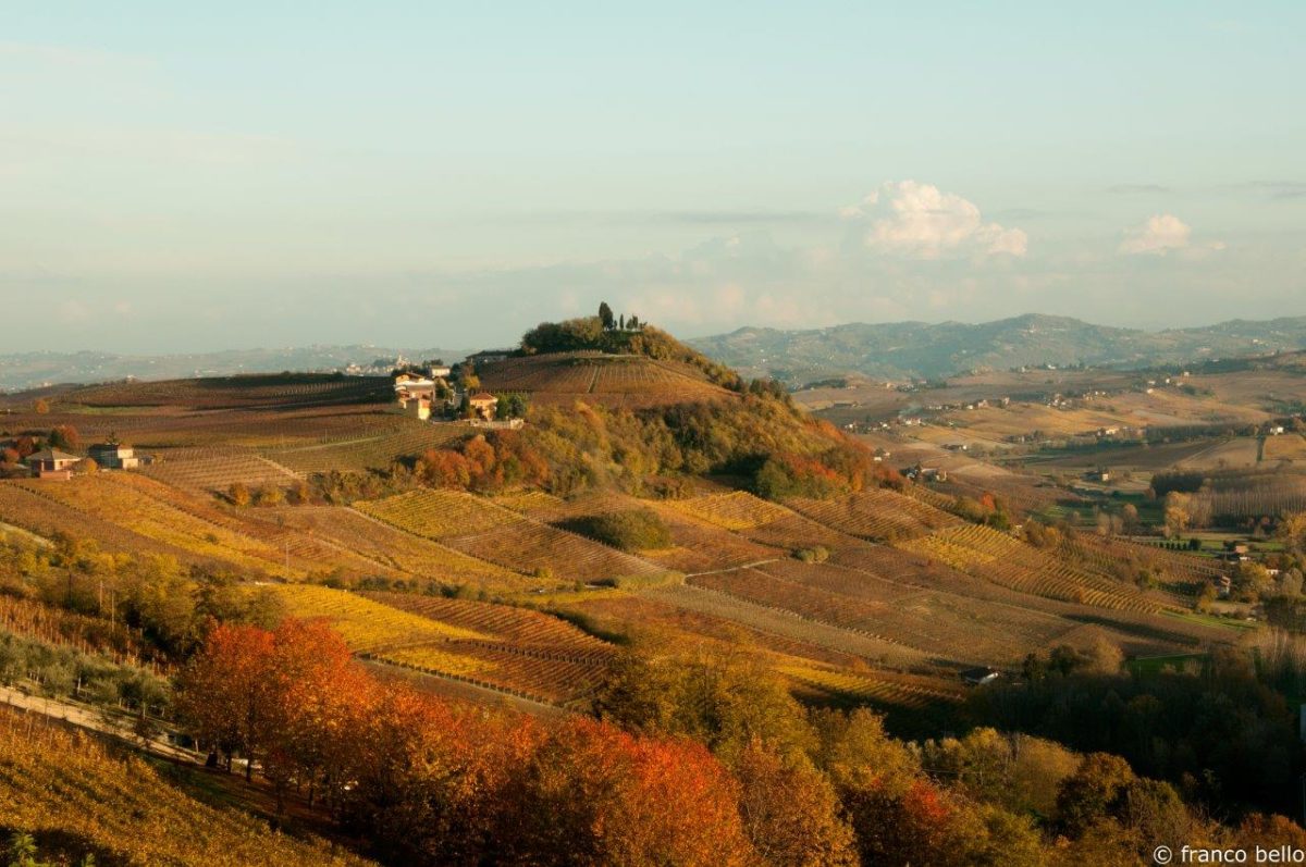 bello_franco_vigne_vista_dall_alto_9