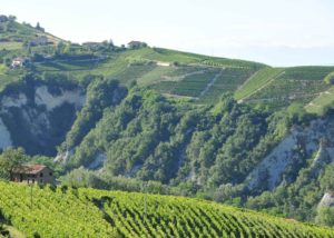 bello_franco_vigneti_collina