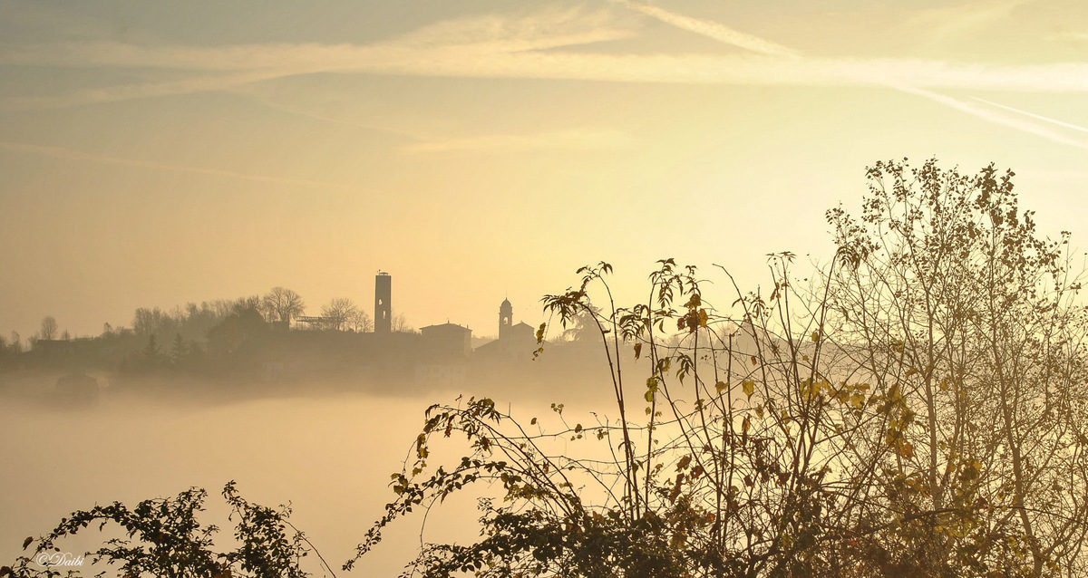 debora_branda_alba_paese_nebbia