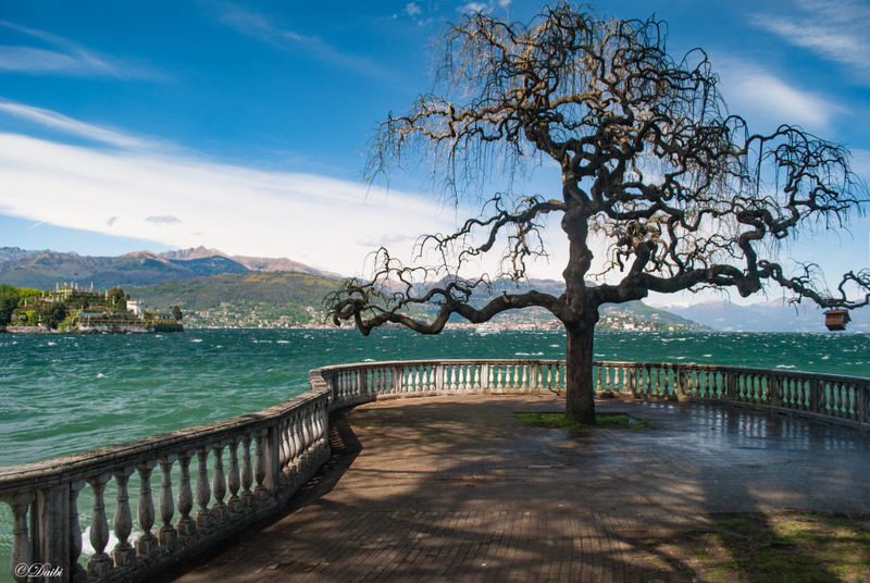 Debora_Branda_Lago_Maggiore