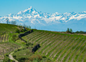 Debora_Branda_Langhe_Monviso