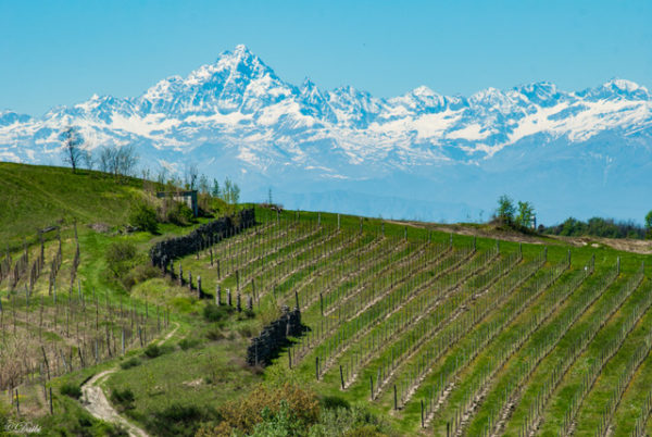 Debora_Branda_Langhe_Monviso