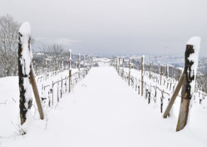 Debora_Branda_Langhe_Neve