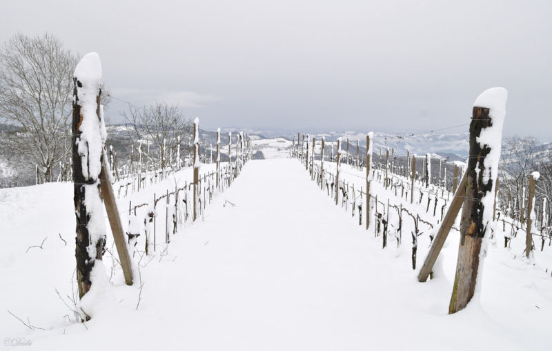 Debora_Branda_Langhe_Neve