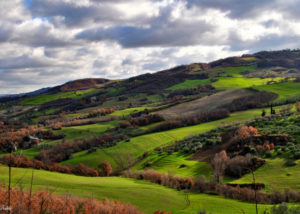 debora_branda_molise