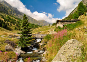 debora_branda_montagne_ponticello_rio