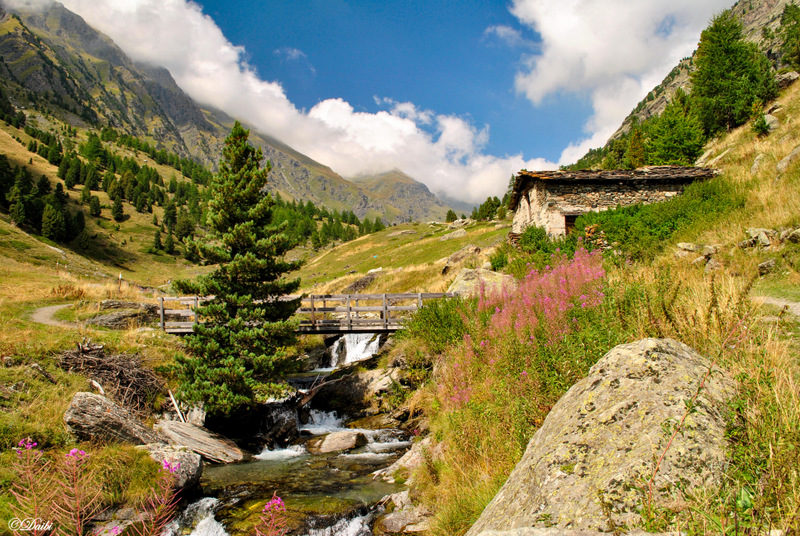 debora_branda_montagne_ponticello_rio
