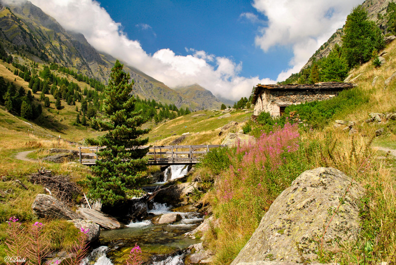 debora_branda_montagne_ponticello_rio