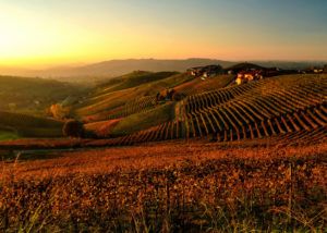 debora_branda_autunno_nelle_langhe