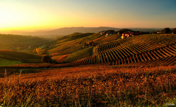 debora_branda_autunno_nelle_langhe