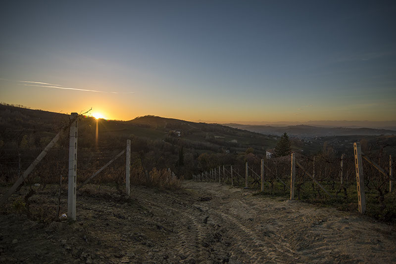 hohler_nicola_tramonto_su_langhe_2