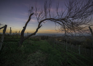 hohler_nicola_tramonto_su_langhe_4
