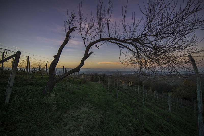 hohler_nicola_tramonto_su_langhe_4