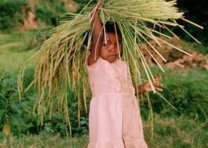 Sergio_Ardissone_Bambina_con_riso_Madagascar.