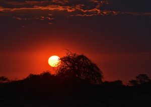 Sergio_Ardissone_Tramonto_in_Etosha_Namibia