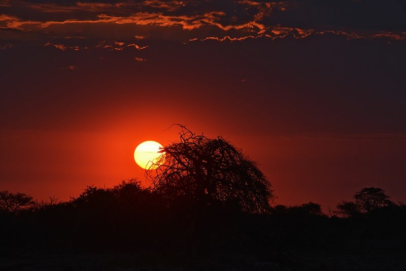 Sergio_Ardissone_Tramonto_in_Etosha_Namibia