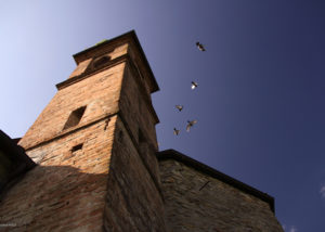 andrea_pesce_chiesa_valle_san_giovanni