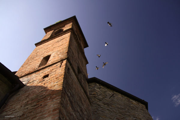 andrea_pesce_chiesa_valle_san_giovanni