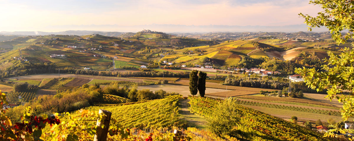 andrea_pesce_panorama_da_castello_calamandrana