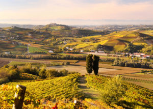 andrea_pesce_panorama_da_castello_calamandrana